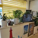 등대아구찜 | 진도아구찜 진도등대아구해물찜 가족외식 솔직후기