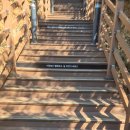 속초사잇길 제5길 | 바다와 눈꽃 산맥의 만남, 속초 사잇길 제5길 '바다향기로' 완벽 가이드