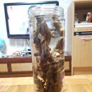 승리농장 이미지