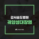 송 외과 네이버블로그