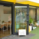 포스앤네이처 펫살롱 이미지