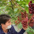 홍주수학 이미지