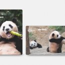 지패밀리 이미지