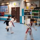 경희대 박사 엘리트 태권도장 이미지