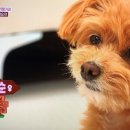 재순농장 이미지