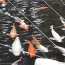 해운대구청 이미지