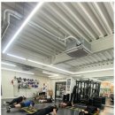 퍼블릭 복싱 이미지