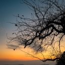 수계정농촌체험휴양마을 | ​[영주여행] 소백산 힐링 성지! 🍏사과 따기부터 펜션 숙박까지, 한밤실마을 농촌체험 1박 2일 솔직 후기!