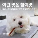 블리스독 | 닥터독 신제품! 강아지 오래 먹는 간식, 저알러지 한우 우신 블리스틱