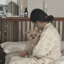 막창천국 이미지