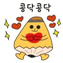 보태니컬아트 네이버블로그