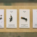 바다비치 이미지