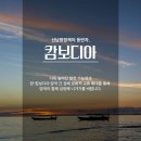 아름다운２１세기 이미지