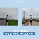 황무로 2 이미지