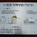 이름없는 묘원(비석 | (귀촌·숭조돈종) 5-3 〈장묘·위패 봉안〉 사례연구⑤ 영천 자연장 발상지 장묘·봉안 사례 (2025.9.13...
