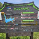 람사르습지길 이미지