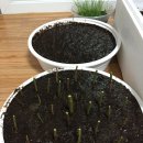 갑진농장 이미지