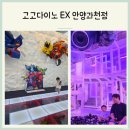 안양 일소리 | 고고다이노EX안양과천점 38개월 솔직후기