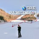 웨그빌리지(Wag Village)