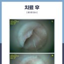 고척원동물의료센터 이미지