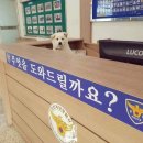 한중운전 이미지