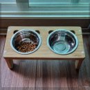 오션투유리조트 | [속초 애견동반 숙소 추천] 오션투유 리조트 리얼 후기, 반려견도 감동한 곳