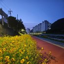 호계천변 이미지