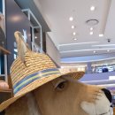 삼일카정비 이미지