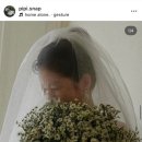 피피스냅