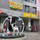 또와요PC | [모블링 속눈썹] 사상 더블연장 맛집, 손 빠른 속눈썹샵 추천, 내돈내산 솔직후기