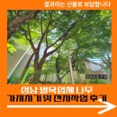 복지아파트 | 성남 벌목업체 나무 가지치기 및 전지작업 후기