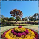 원주민원행정사사무소 | 사업체양수도허가 원주 생활의 동반자, 벧엘행정사사무소의 경험담