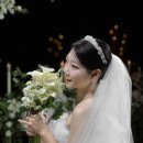 필름더데이즈