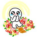 하이맥스 플레이 이미지