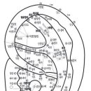 귀는 인체의 축소판 이미지