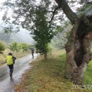 보은삼거리 이미지