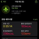 알찬하루 이미지