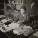 평화로운세상 이미지