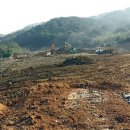 내장산리조트관광지 이미지