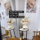 디에르92