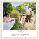 코리아세븐 신사시장점 | 아이랑 일본여행 패키지 시모노세키 워킹맘투어 후기 할인쿠폰