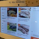 느티나무사거리 | [분당맛집] 분당 고기 맛집 참향 돈마호크, 오겹살 참나무 한돈 숯불구이 율동공원 찐맛집 후기