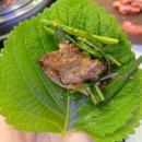 맛밥김밥전문점 | 본리동 맛집 들안길한우 본리점 갈빗살(+마늘밥)후기