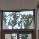 영어마을금손공인중개사사무소 이미지