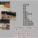 대부장묘 이미지