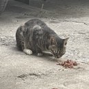 복희슈퍼 이미지