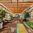 더힐링카페 이미지