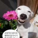 큐티