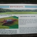 산정 대죽 네이버블로그