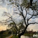 반곡리보건진료소 이미지